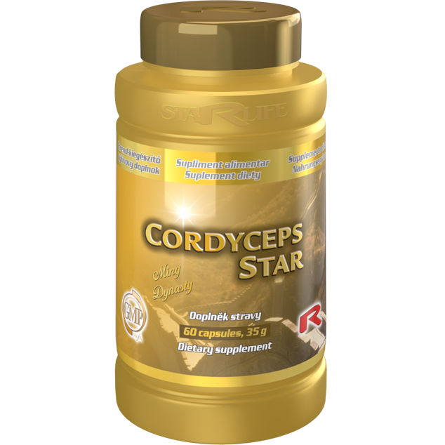 Enlarge picture CORDYCEPS STAR